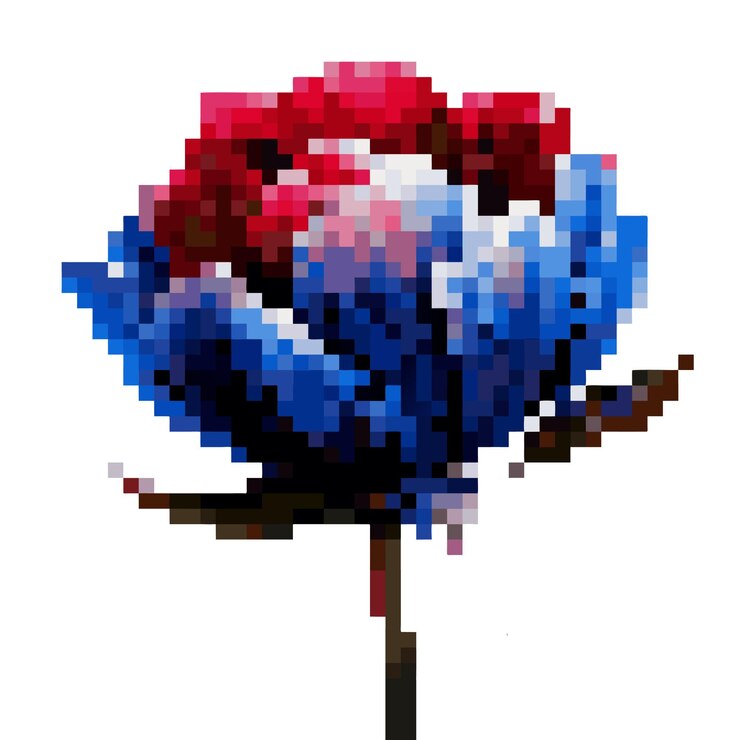 Vector tulips or rose colorful flowers