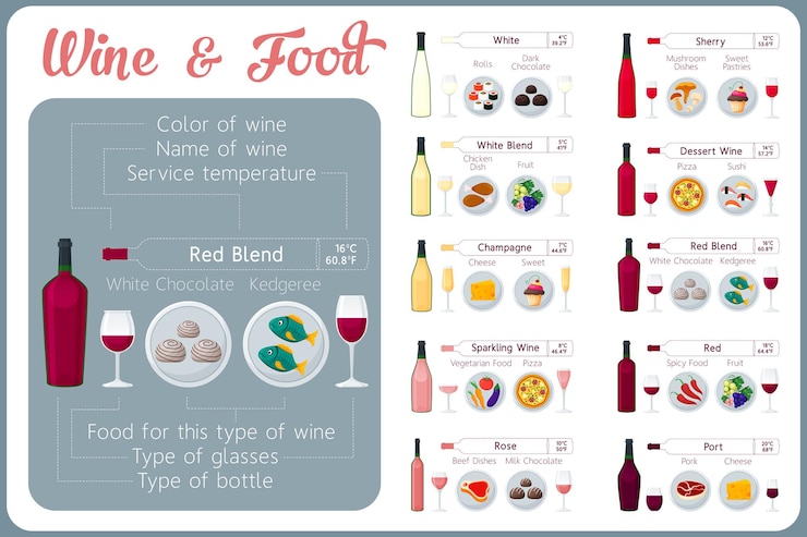 Vector types of wine with food. wine tasting guide.