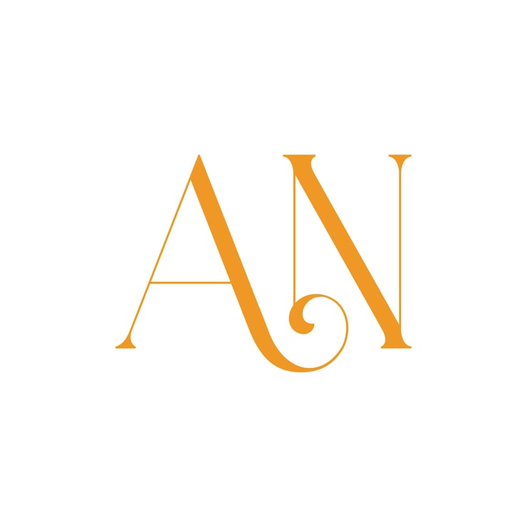 Vector typography letter an logo design