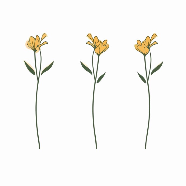 unique cowslip vector illustration with a distinct look