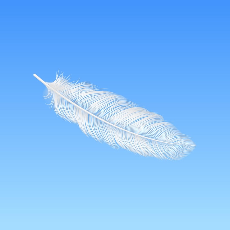 Vector vector 3d realistic falling white fluffy feather closeup on blue sky background design template of angel bird detailed feather lightness and freedom concept