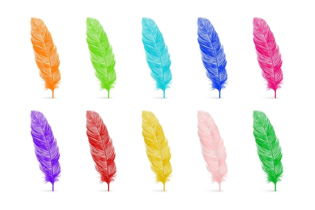Vector 3d Realistic Multicolored Fluffy Feather Set Isolated