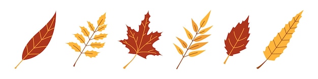 Vector autumn set with red and yellow leaves Fall collection October trees