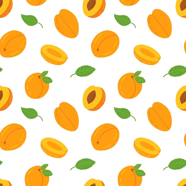 vector cartoon apricot seamless pattern isolated on white background different peach and apricot vector pattern