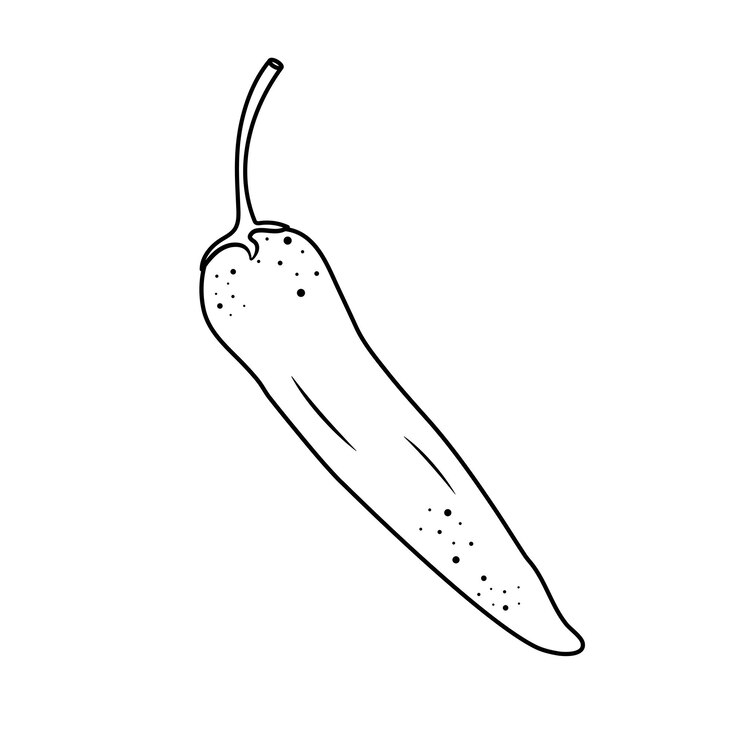 Vector Chilli Pepper Outline One Whole Chilli Line Art On White Background Vector Illustration