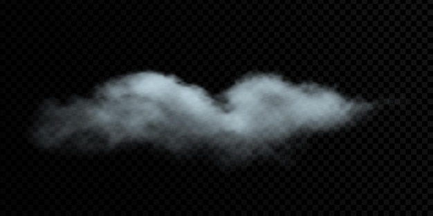 Vector cloud on a transparent background smoke gradient mesh