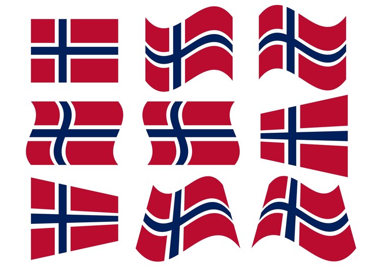 Vector flag of Norway with many shape