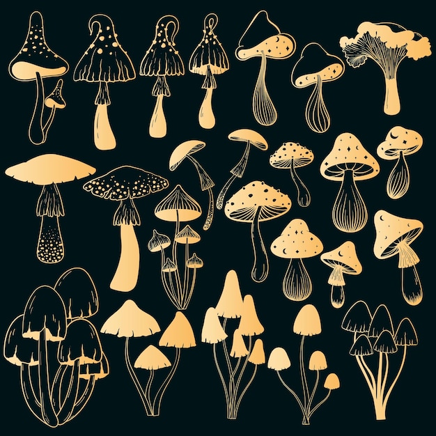 vector golden mushrooms contour set
