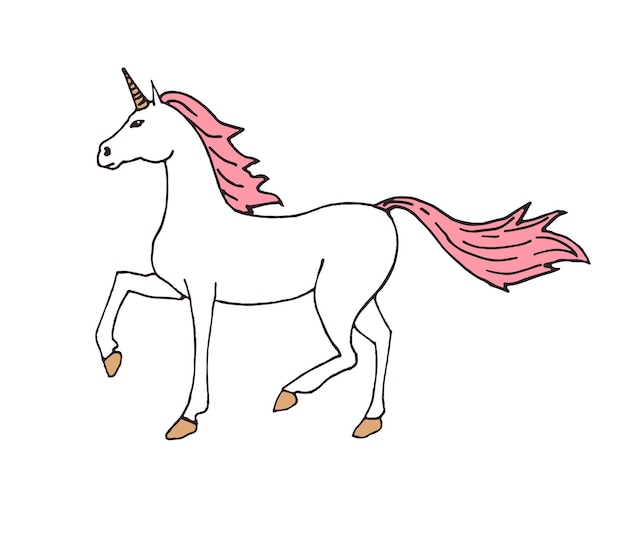 Vector hand drawn unicorn isolated on white background