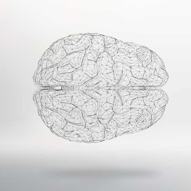 Vector illustration human brain Abstract vector background Polygonal design style