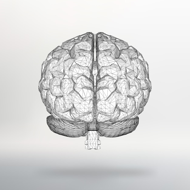 Vector illustration human brain. The structural grid of polygons.