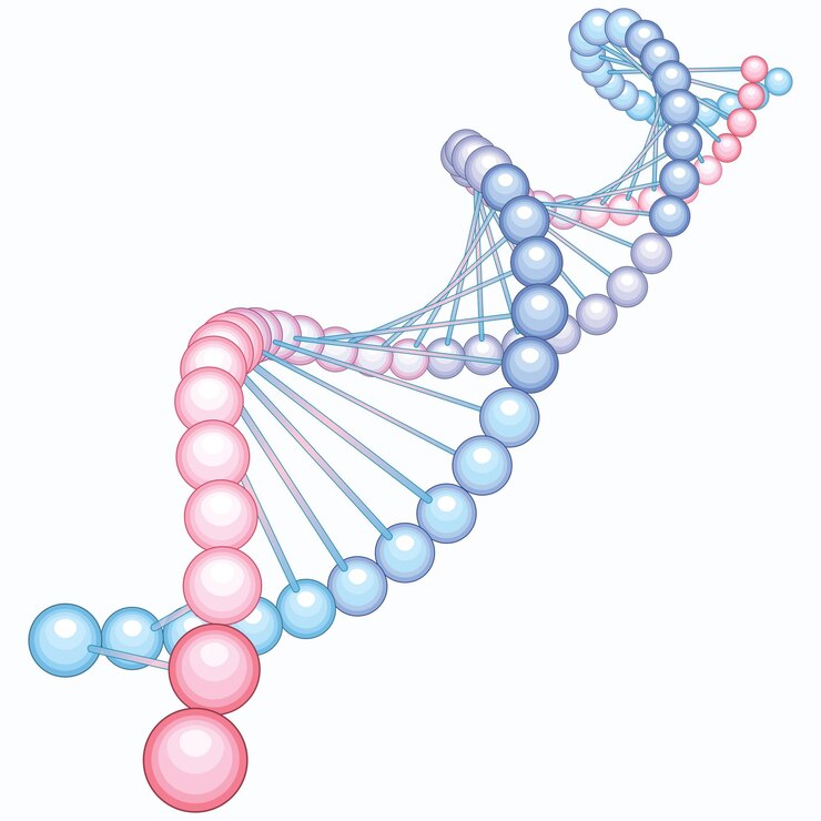 Vector vector illustration of a dna structure