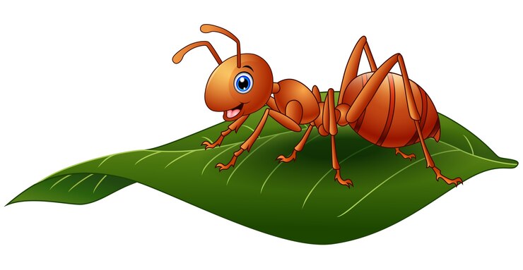 Vector vector illustration of cartoon ant on the leaf