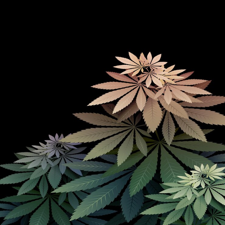 Vector illustration of green cannabis bush