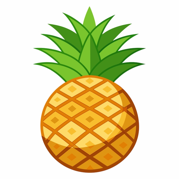 Vector vector illustration of pineapple fruit
