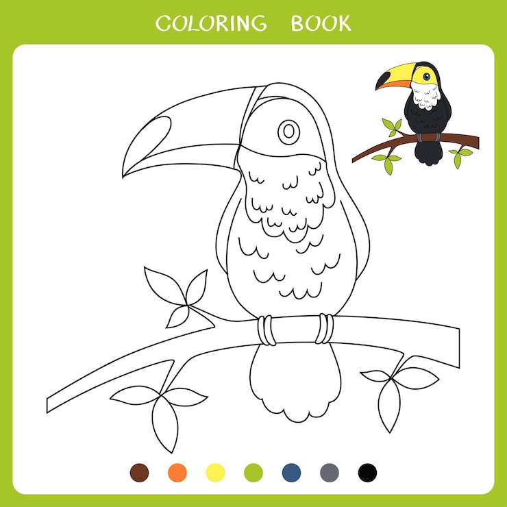 Vector vector illustration of toucan for coloring book