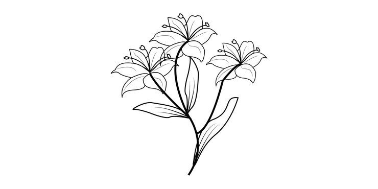 Vector line art flower design