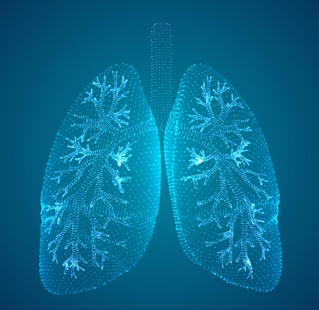 Vector lungs and bronchi vector design point and dot style