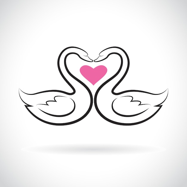 Vector of two loving swans and pink heart on white background Wild Animals swans logo or icon.