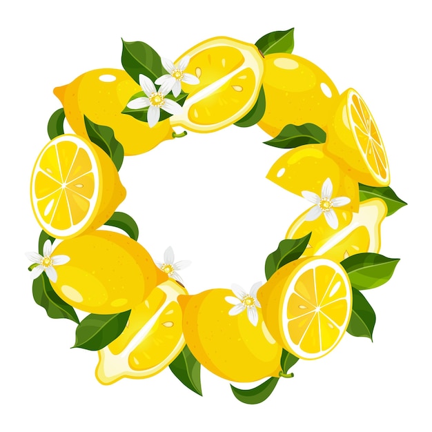 Vector round frame with whole half slices lemons blossom flowers and leaves
