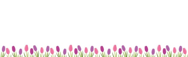 vector seamless border with spring flowers womens day floral frame with tulips