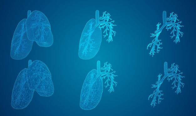 Vector set lungs and bronchi 3d elements for design