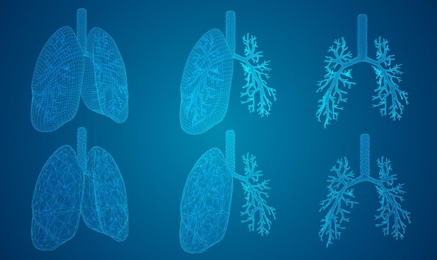 Vector set lungs and bronchi 3d elements for design