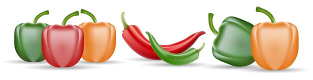 Vector Set of Chili Pepper and Colored Yellow Green and Red Sweet Bulgarian Bell Peppers Paprika and Chili Isolated On White Background Eps 10