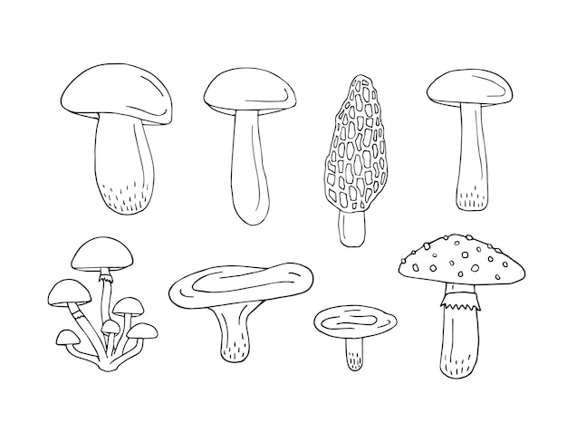 Vector set of hand drawn mushroom