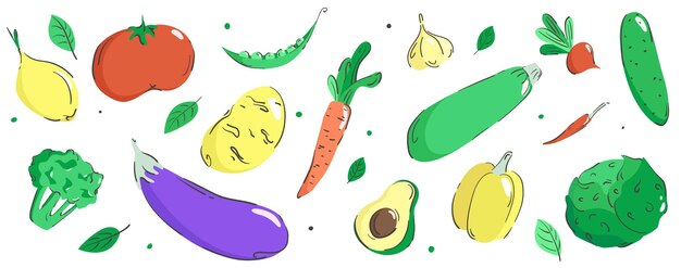 Vector set of vegetables and herbs Multicolored zucchini cucumber peppers tomatoes eggplant onions
