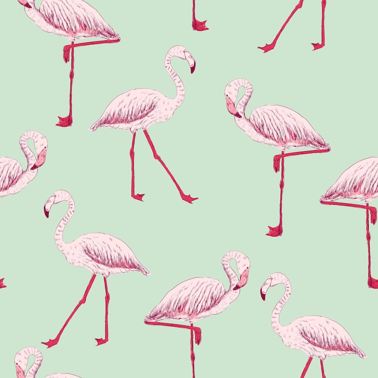 Vector vector sketch of a flamingo
