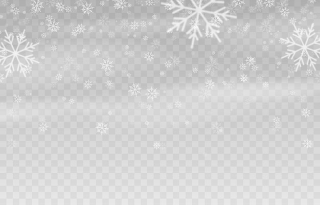 vector snow snow on an isolated transparent background snowfall blizzard winter snowflakes