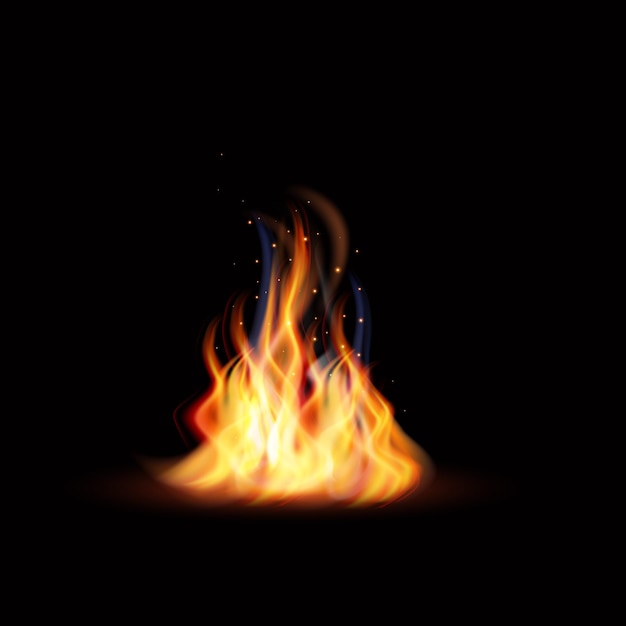 vector vector realistic burning fire flames with smoke