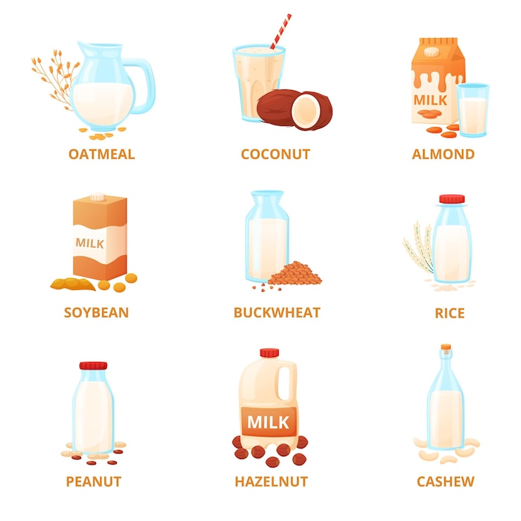 Vector vegan milk collection coconut almond peanut drinks cashew oatmeal and soybean milks in bottles and paper pack nowaday vector set