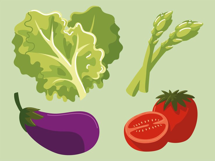 Vector vegetables food eggplant tomato lettuce