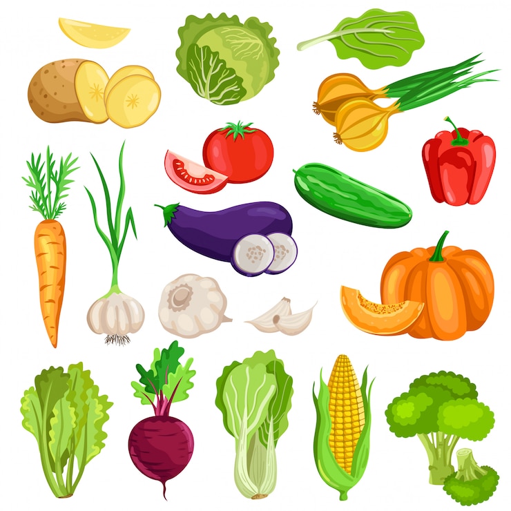 Vector vegetables isolated on white background