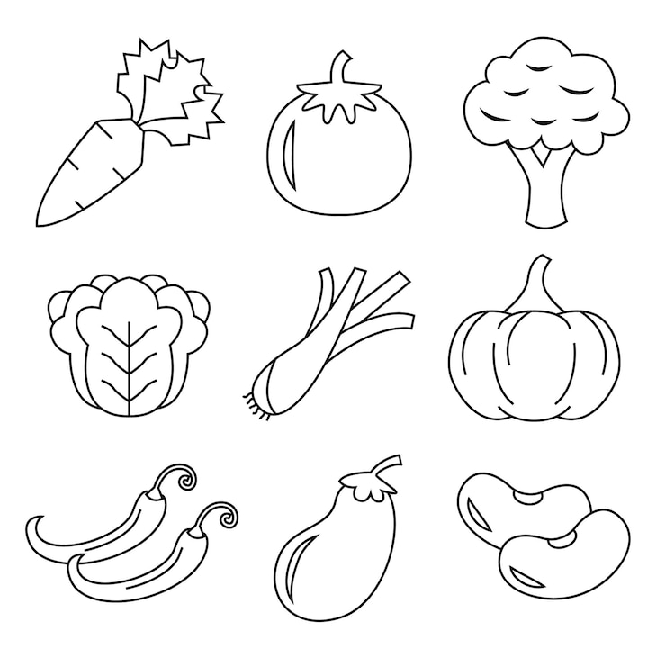 Veggies Lineal Pack