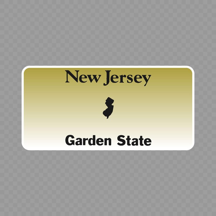 Vector vehicle registration plate