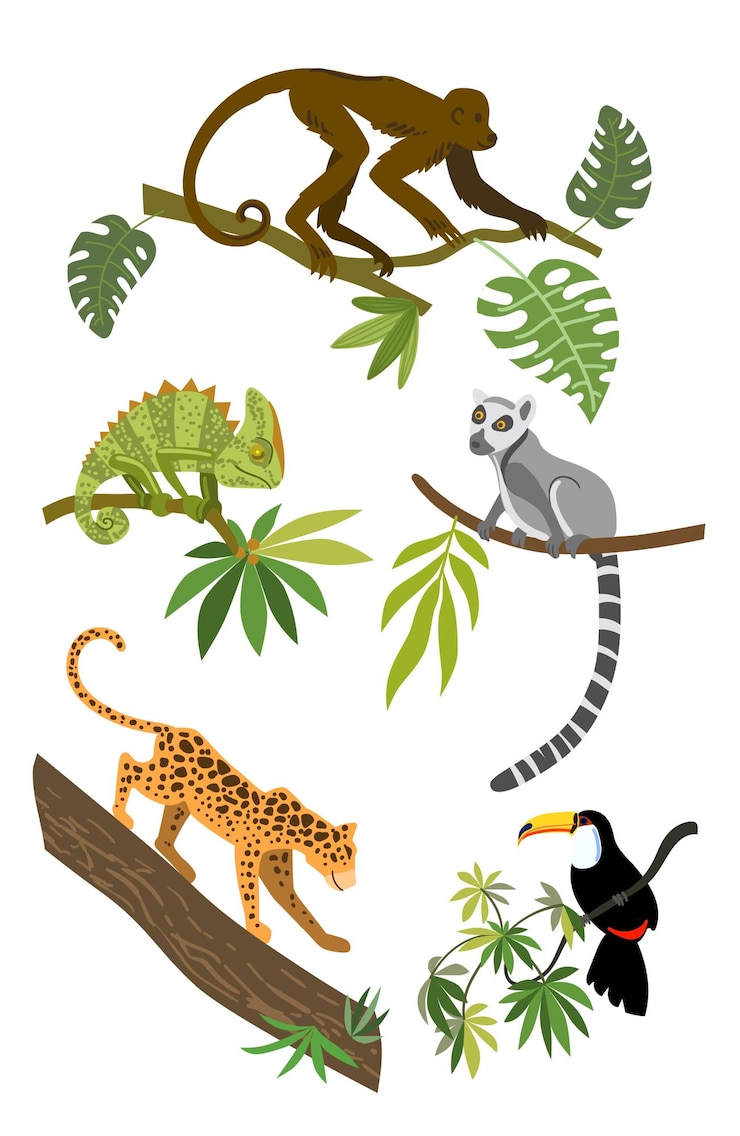 Vector vektor hewan tropis komposisi animalistik yang indah