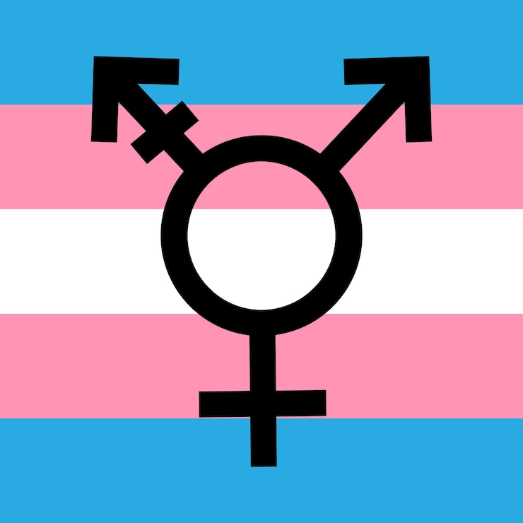 Vector vektor simbol bendera trans transgender transeksual