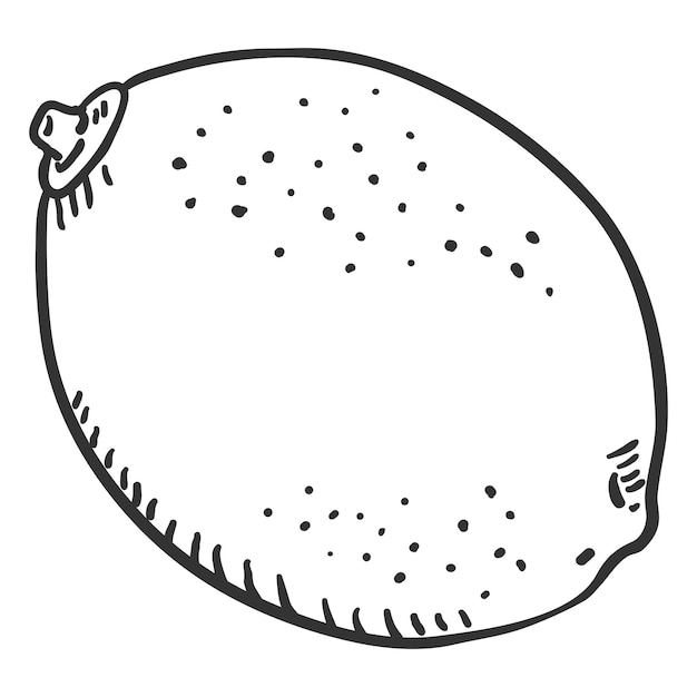 Vektor Sketsa Buah Limau