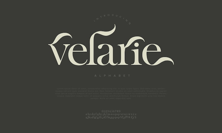 Vector velarie typography beauty fashion elegant minimalist serif italic fonts decorative wedding vintage retro logos minimal luxury font alphabet logo vector illustration