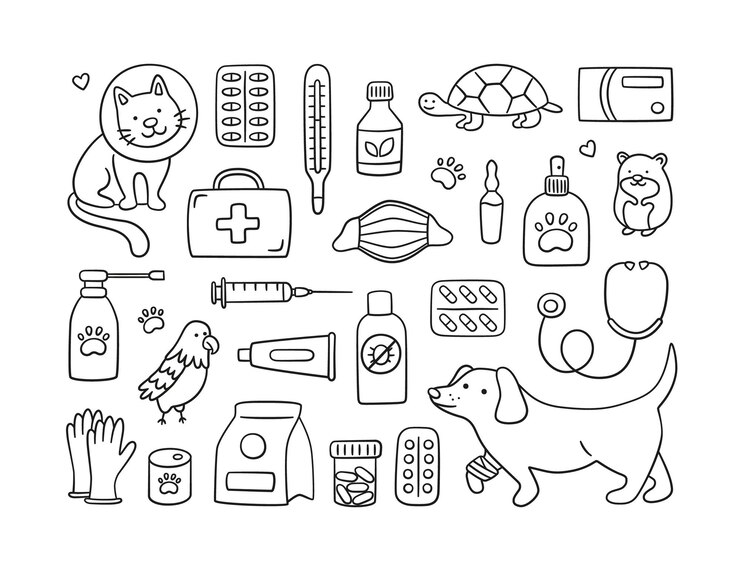 Veterinary set with pets, medicines and food. A cat in a collar and a dog with a bandaged paw.