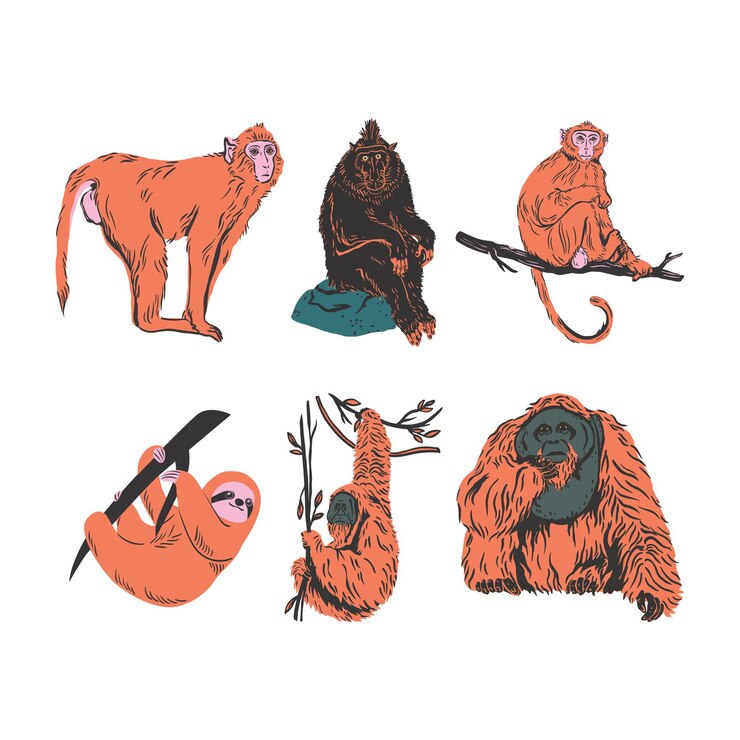 Vibrant Textured Realistic Wild Animal Fill Shape