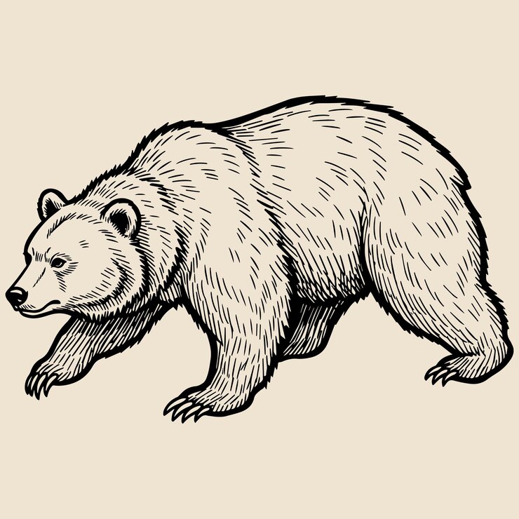 Vintage Japanese Bear Sketch Monochrome Line Art