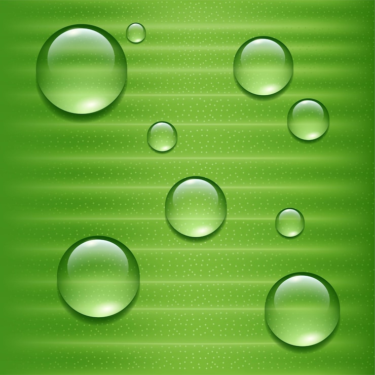 Vector water drops on green leaf vector background