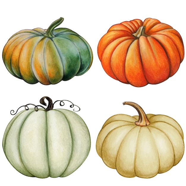 Watercolor hand drawn fall pumpkins
