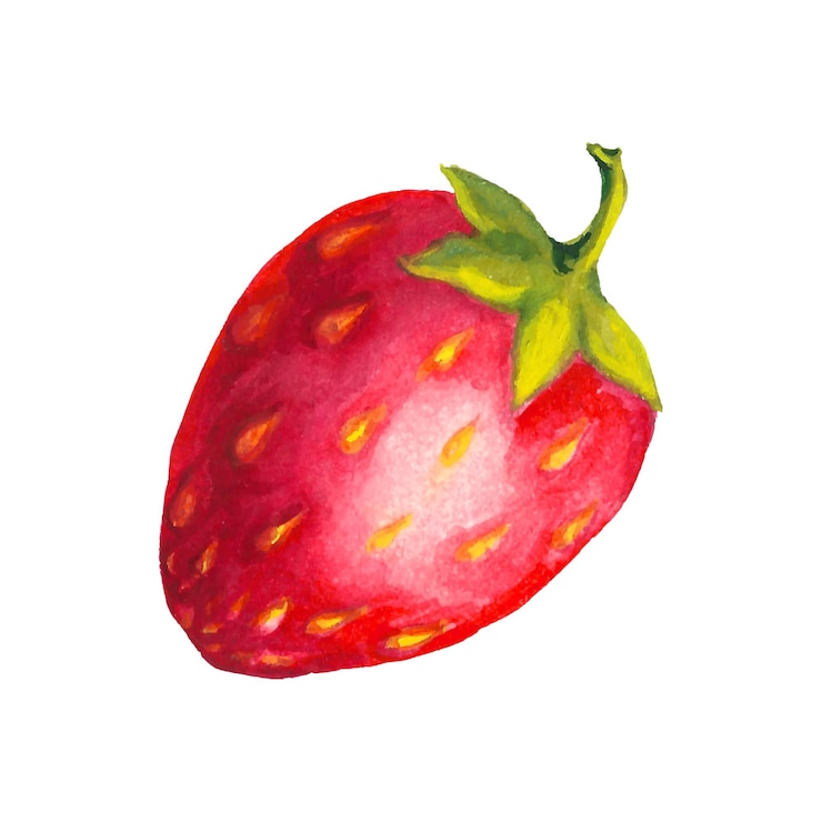 Vector watercolor handdrawn strawberry closeup isolated on white background