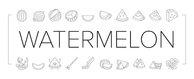 Watermelon summer fruit slice icons set vector