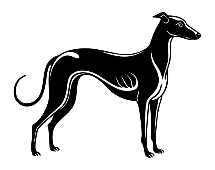 Vector whippet dog full body icon black and white logo dog silhouette engraving style pet character